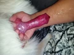 Guy making his dog cum on his arm 